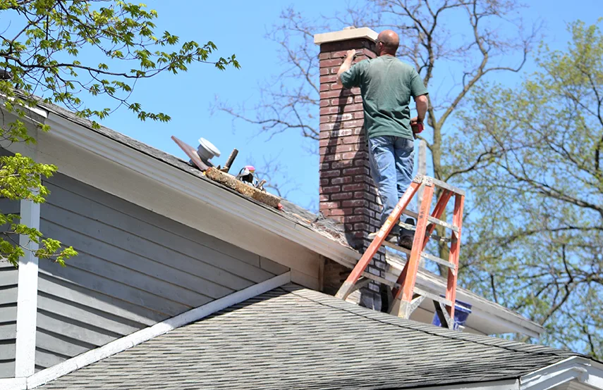 Chimney & Fireplace Inspections Services in Binghamton, NY